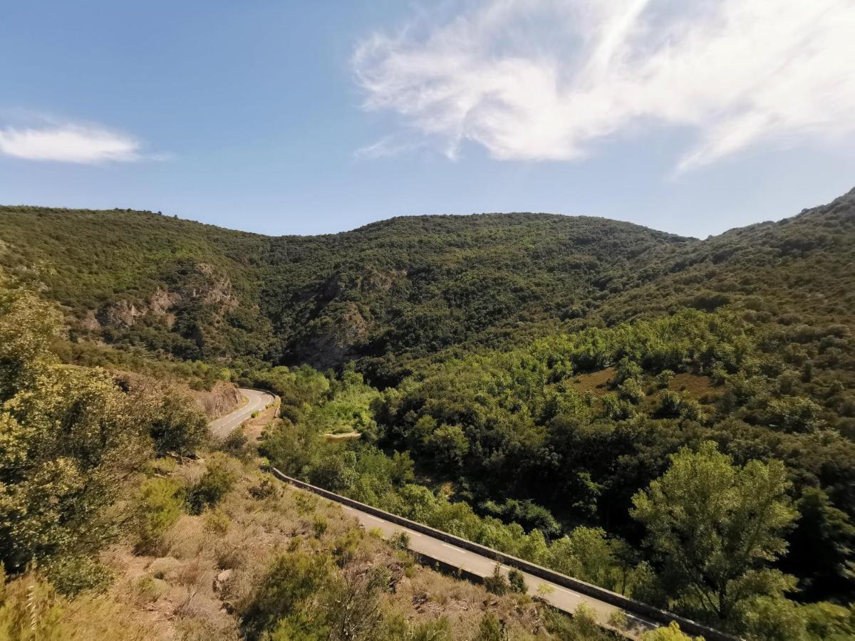 Maison De L'Aguze Saint-Pons-de-Thomieres ภายนอก รูปภาพ